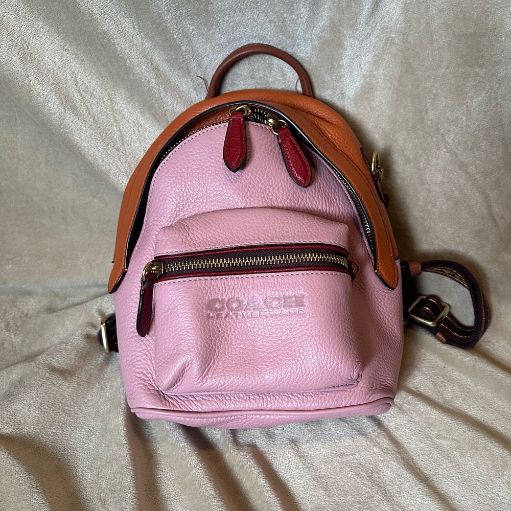 Coach Leather Backpack